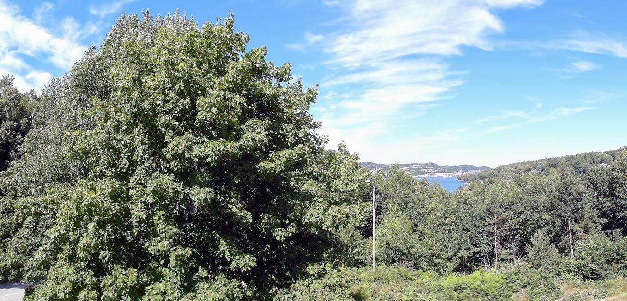 Tromoy Arendal Apartment ภายนอก รูปภาพ